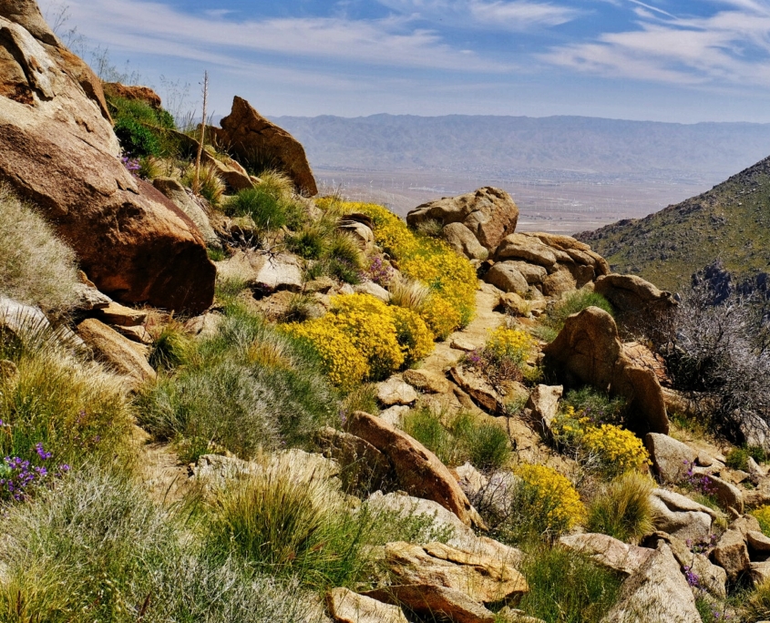 2023 0417 1754070018 01