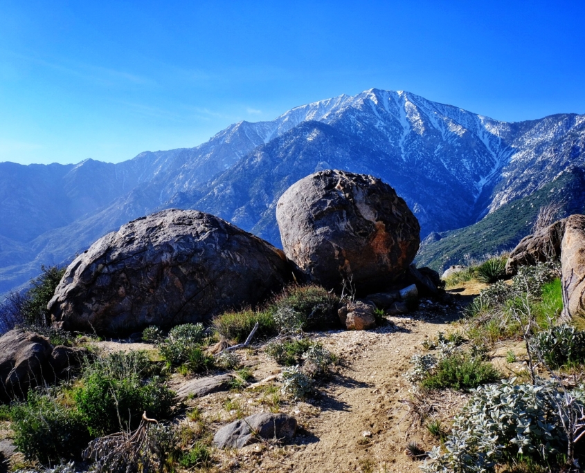 2023 0417 175407002 01