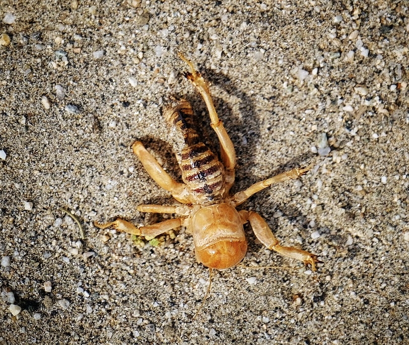 2023 0417 1754070029 01