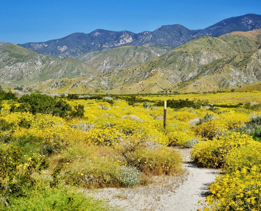 2023 0417 1754070030 01