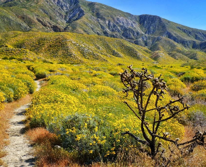 2023 0417 1754070036 01