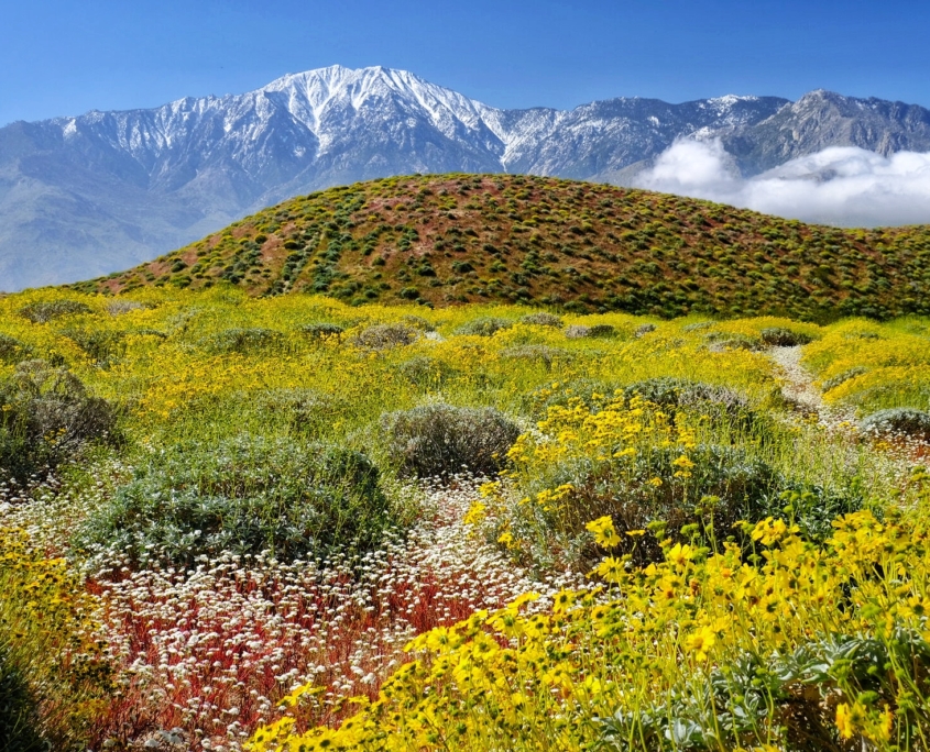 2023 0417 1754070038 01