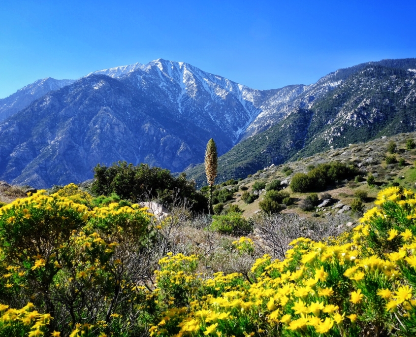 2023 0417 175407004 01