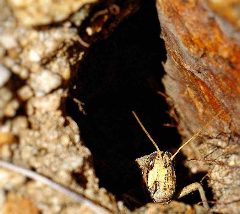 2023 0417 1754070046 01