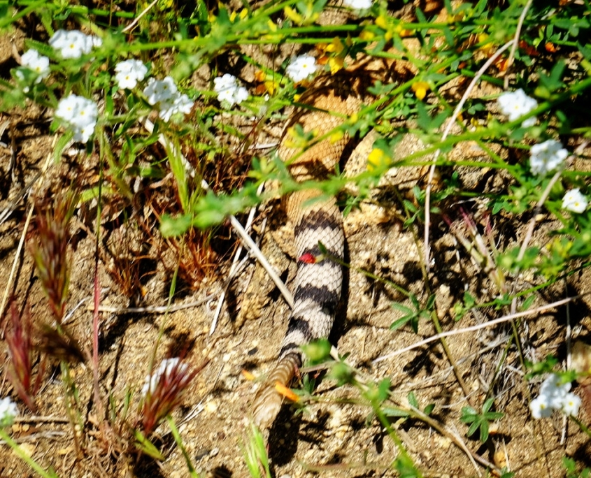 2023 0417 175407008 01