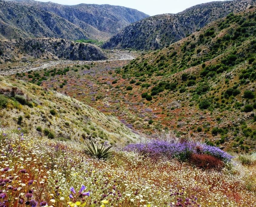 2023 0418 1715080013 01