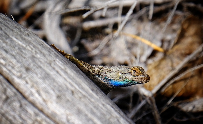 2023 0418 1715080016 01