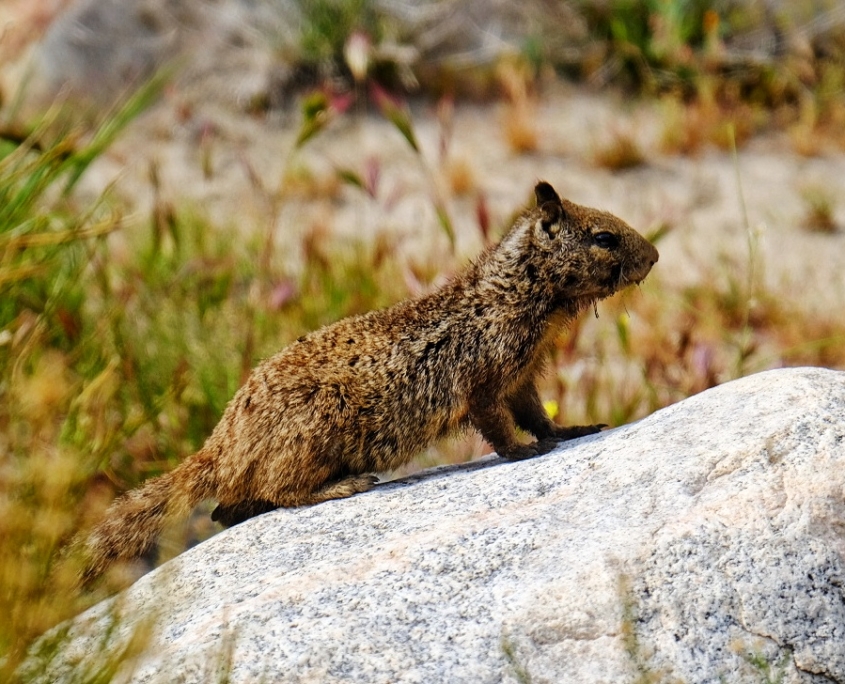 2023 0418 1715080018 01