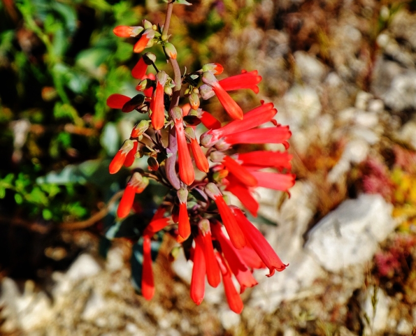 2023 0418 171508004 01