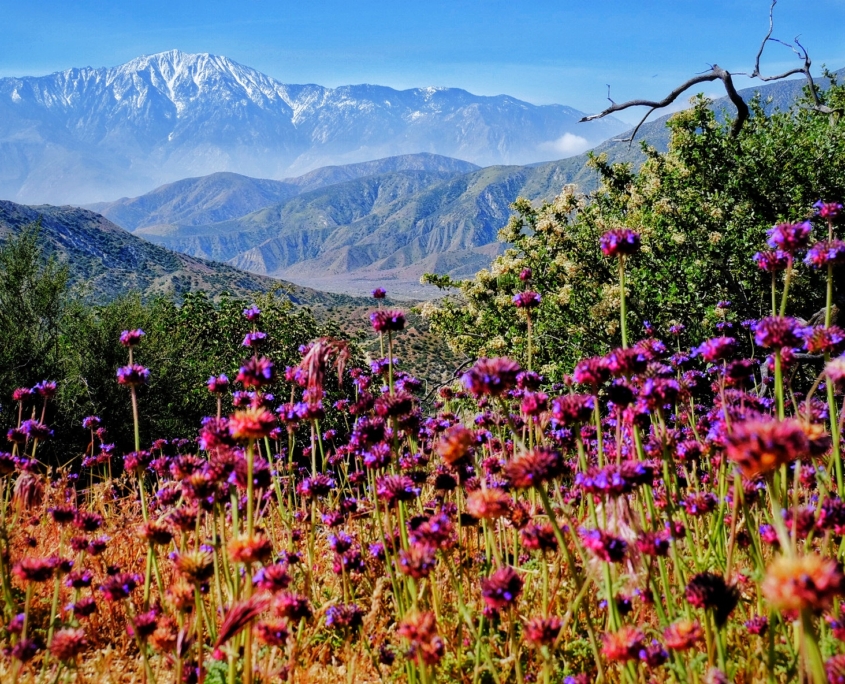 2023 0418 171508006 01