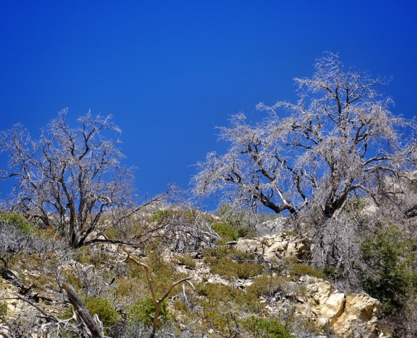 2023 0419 20330500 01