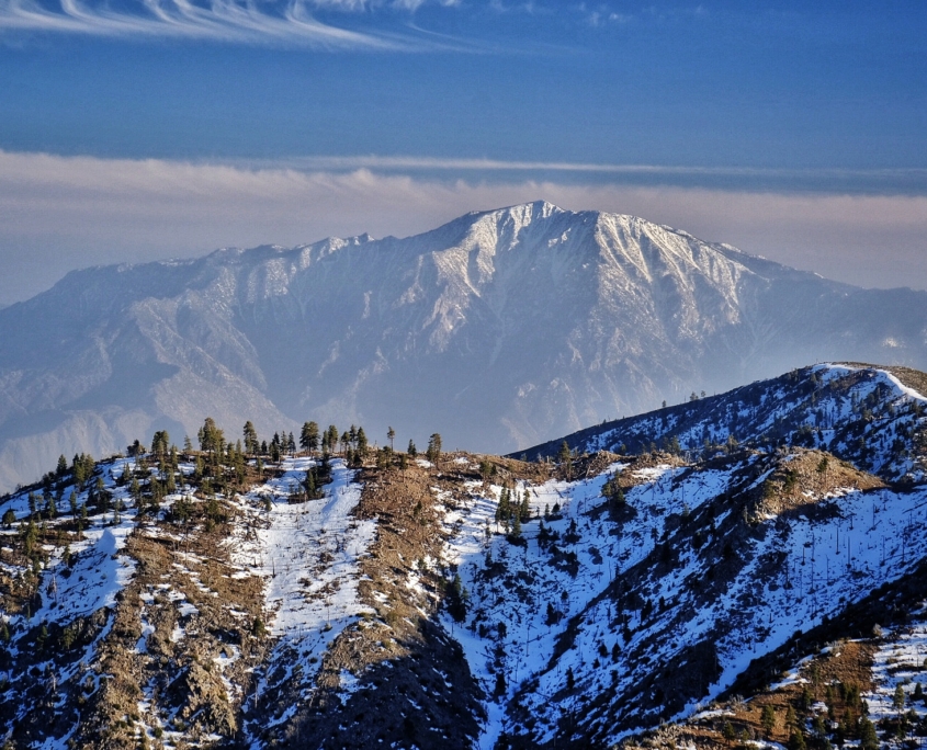 2023 0419 2033050011 01