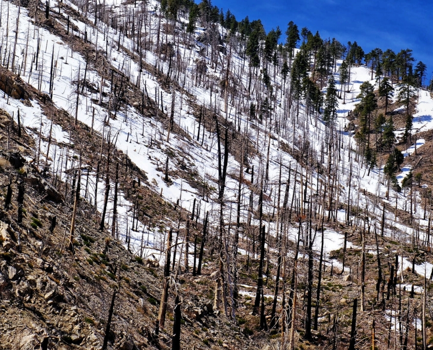 2023 0419 203305003 01