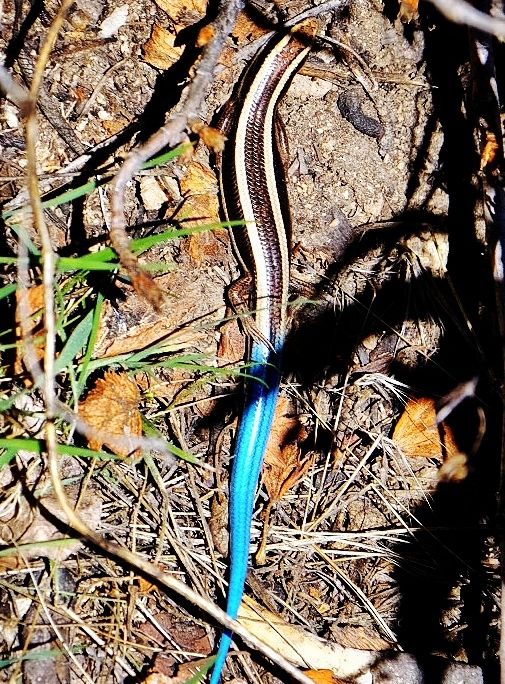 2023 0419 203305004 01