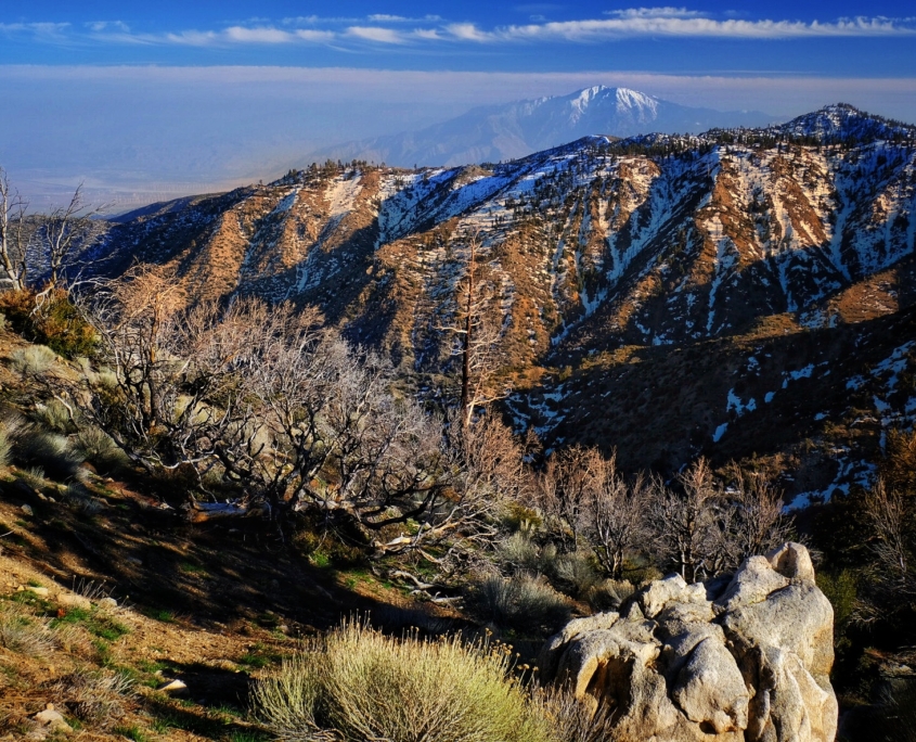 2023 0419 203305009 01