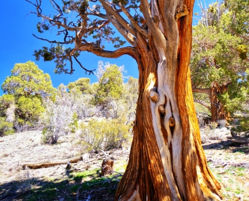 2023 0420 1941080022 01