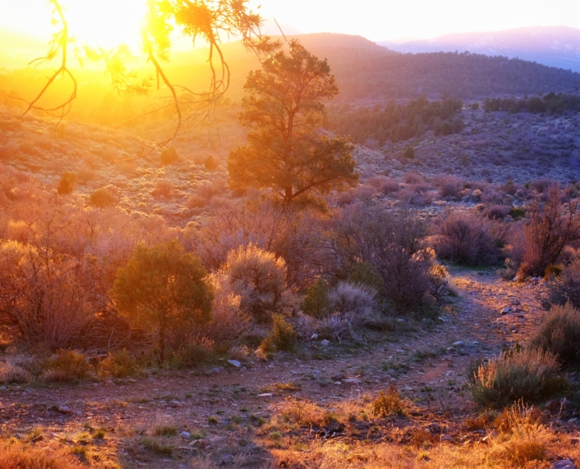 2023 0420 1941080029 01