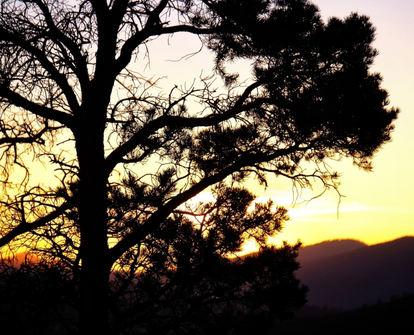 2023 0420 1941080032 01