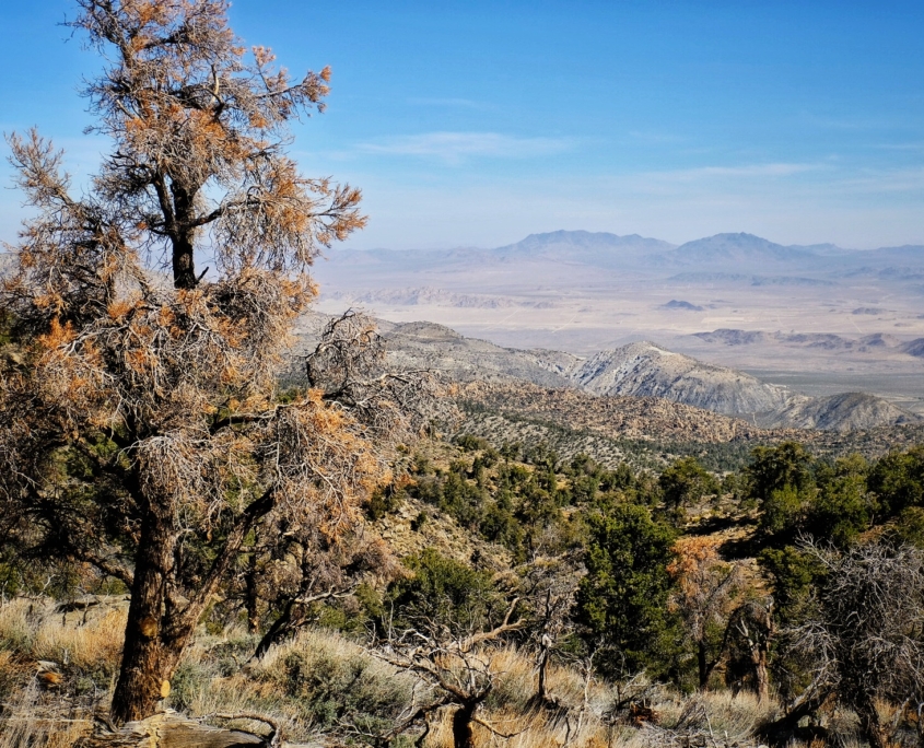 2023 0423 0801040013 01