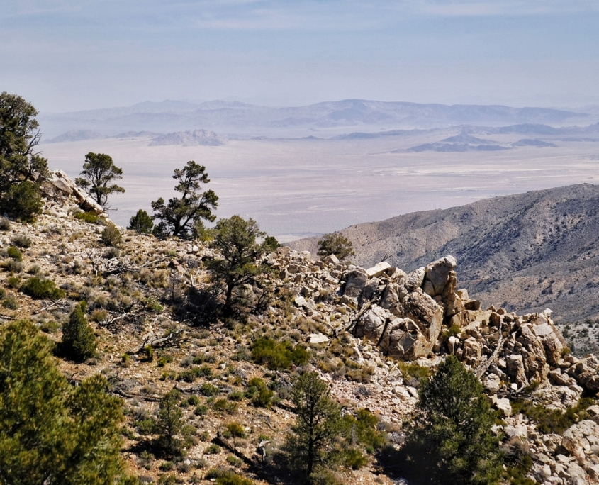 2023 0423 0801040017 01