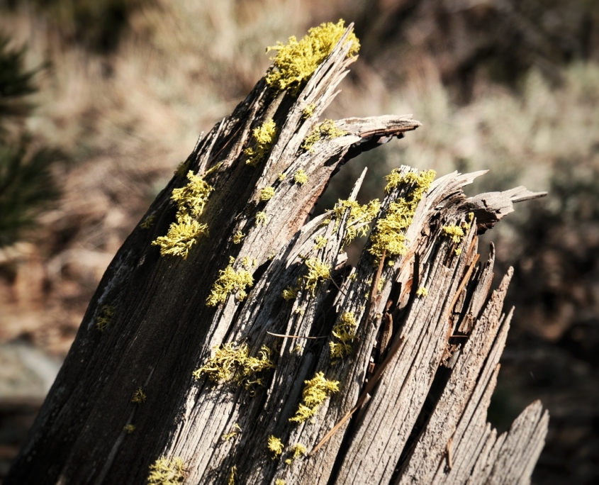 2023 0423 1857250014 01