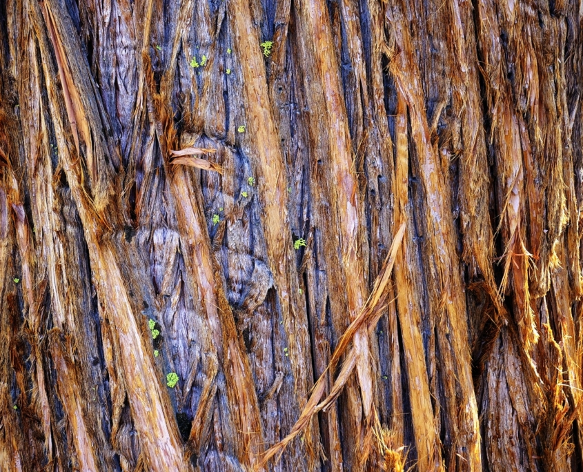 2023 0423 1857250016 01