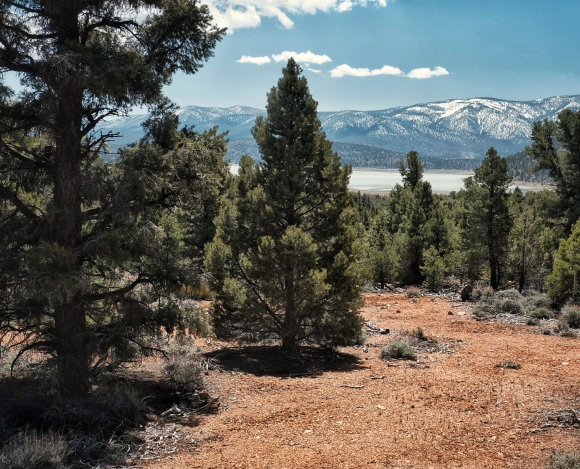 2023 0423 185725004 01