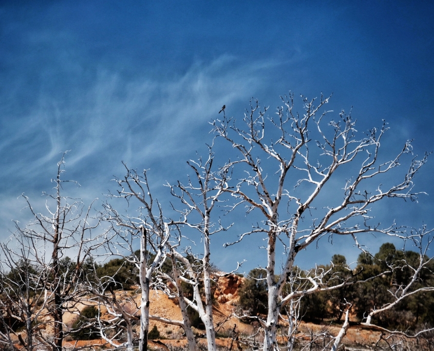 2023 0423 185725006 01