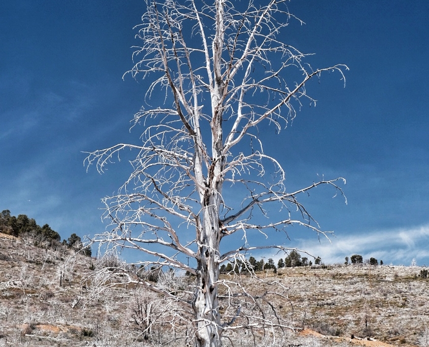 2023 0423 185725008 01