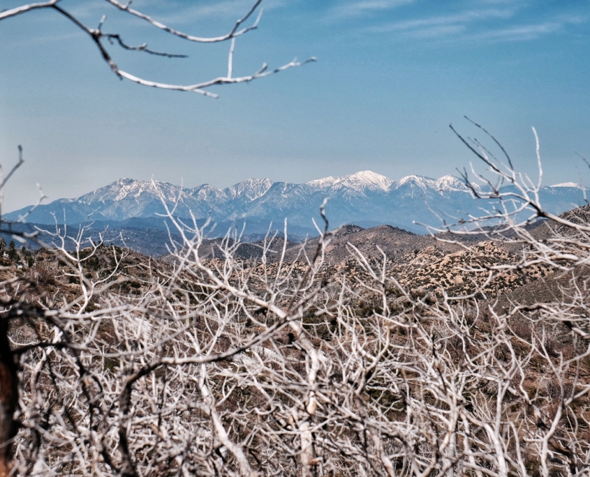 2023 0424 18382700 01