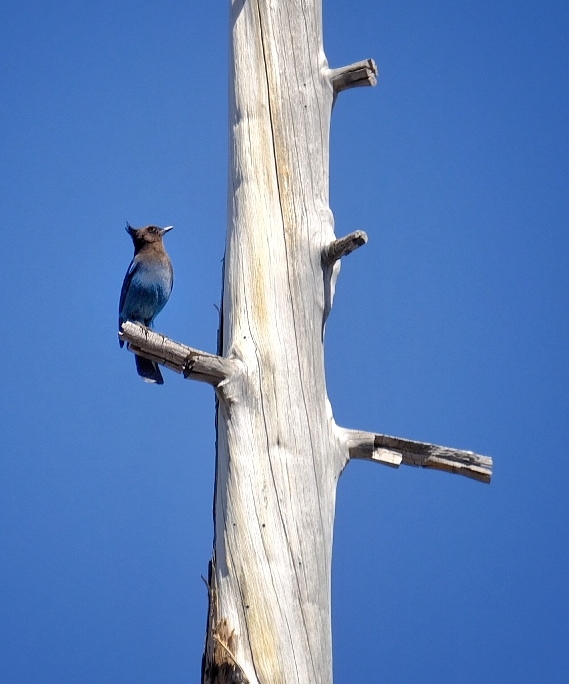 2023 0424 18383100 01