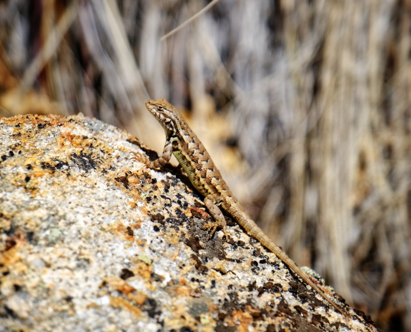 2023 0424 18390800 01