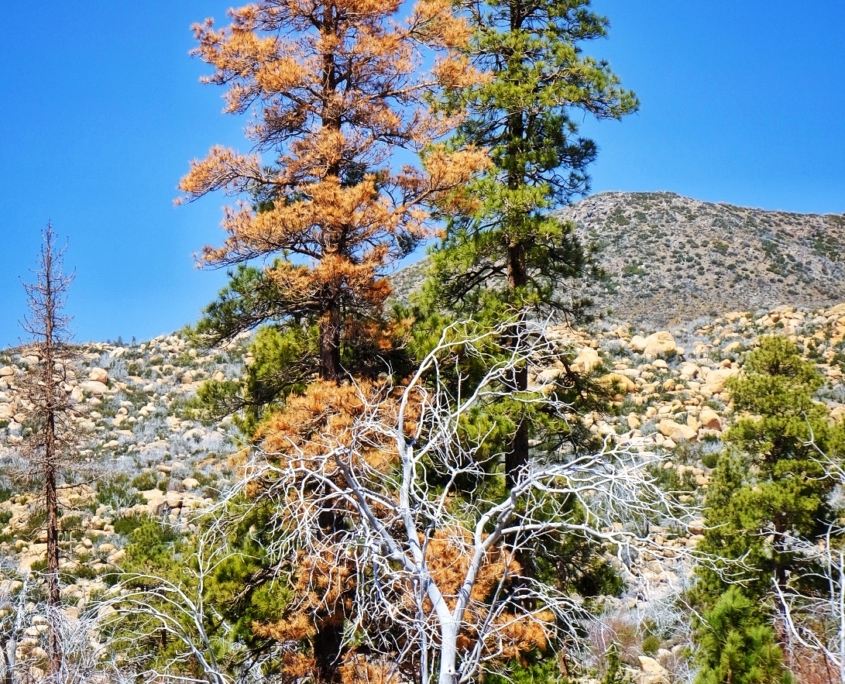 2023 0424 18394800 01