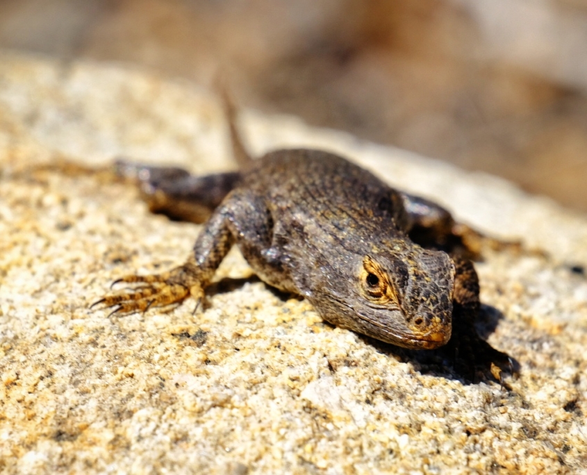 2023 0424 18400800 01