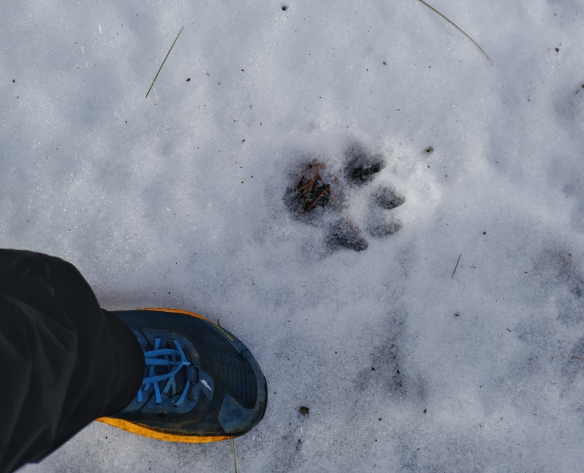 dscf9239 01 1 scaled