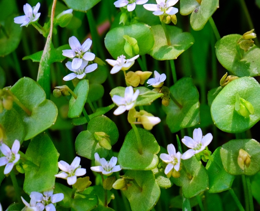 2023 0425 21413200 01