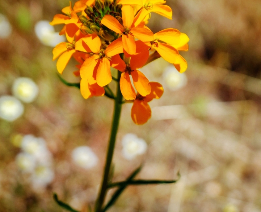 2023 0425 21413800 01