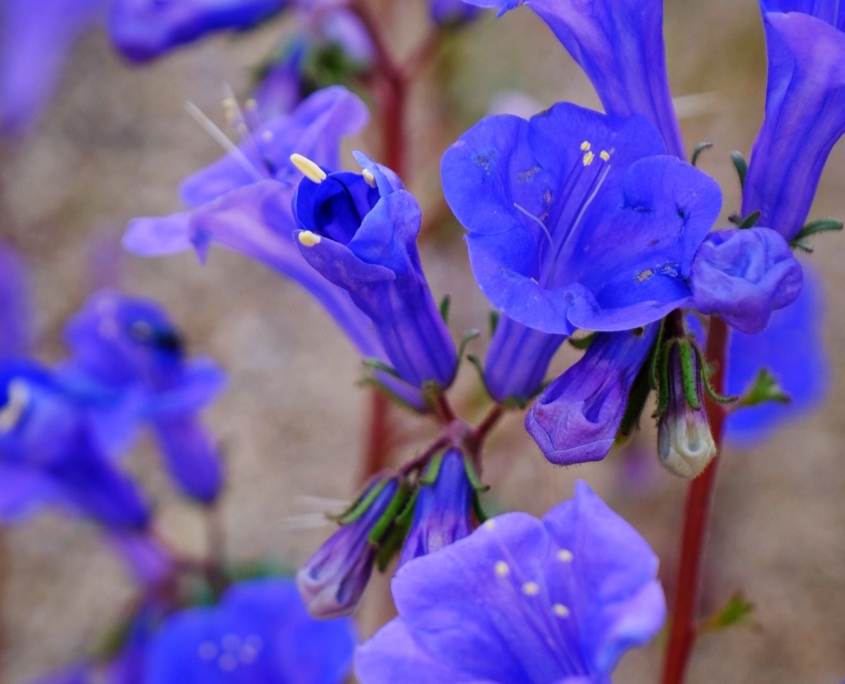 2023 0425 21453900 01