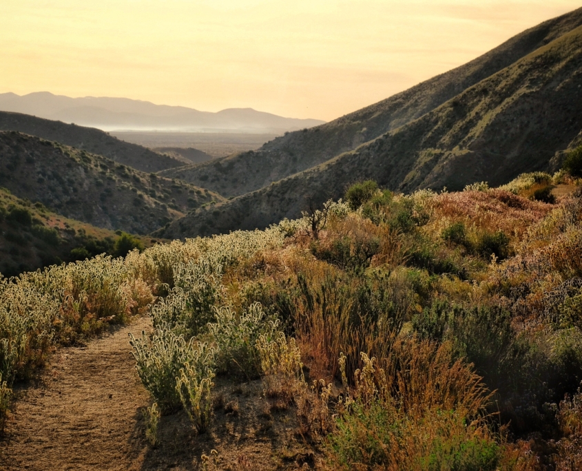 2023 0425 21455700 01