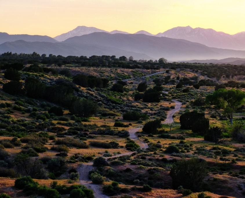 2023 0425 21461800 01