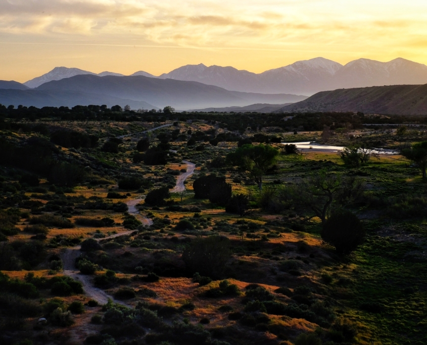 2023 0425 21462600 01