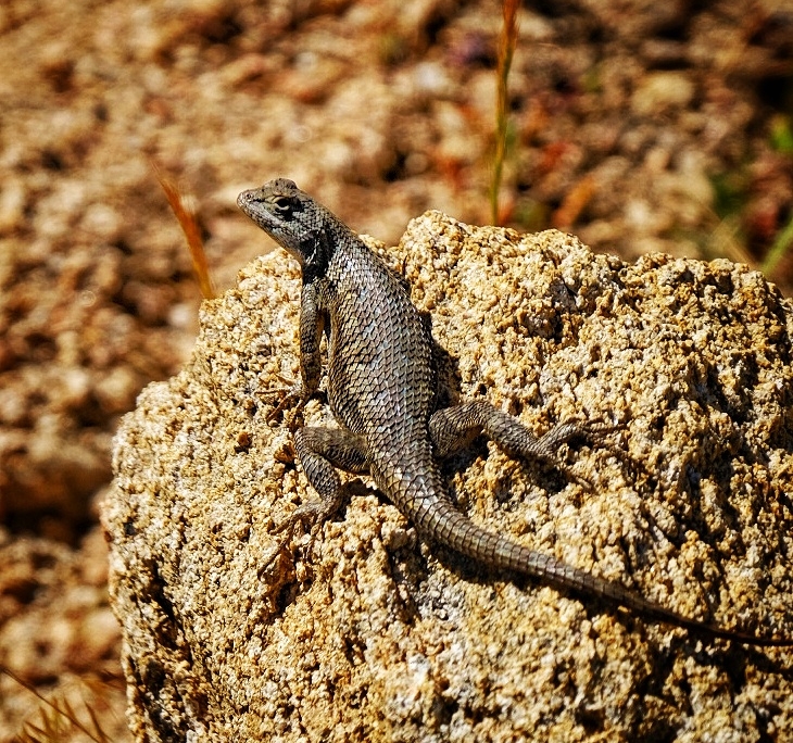 2023 0426 1915210011 01