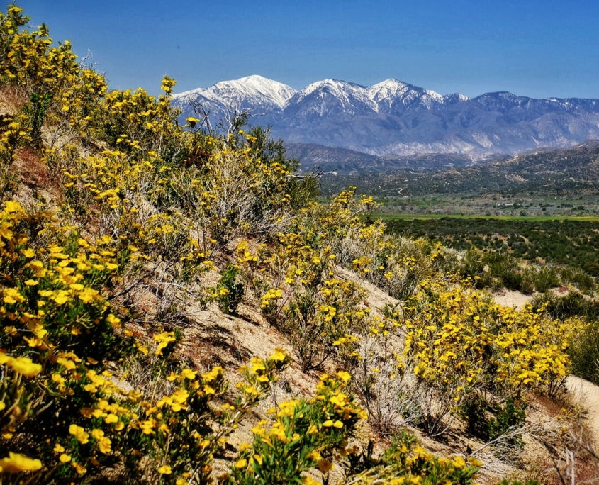 2023 0426 1915210015 01