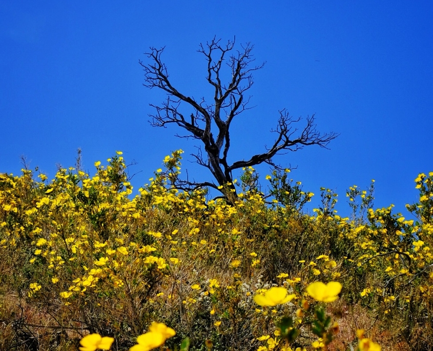 2023 0426 1915210016 01