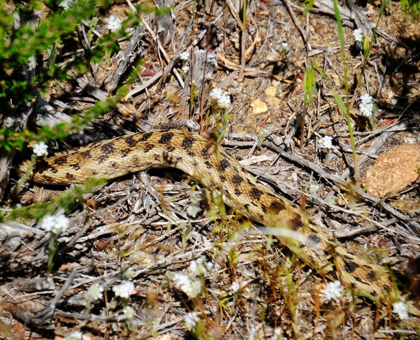 2023 0426 1915210024 01