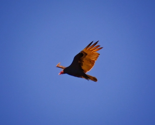 2023 0426 1915210029 01