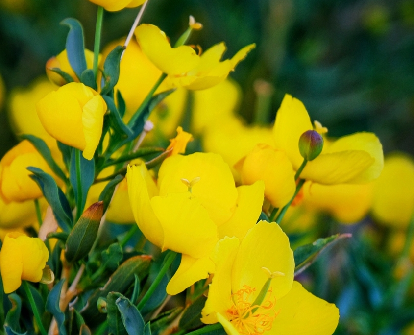 2023 0426 191521003 01