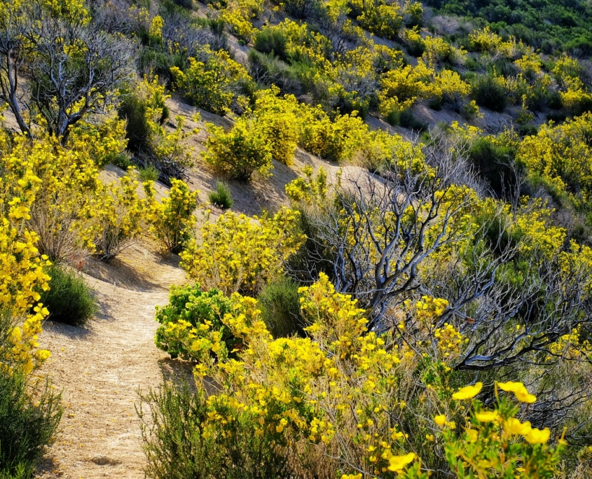 2023 0426 191521008 01