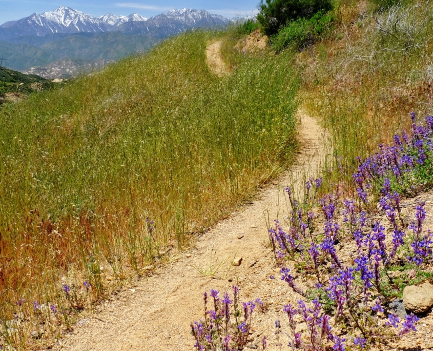 2023 0427 2224050018 01 1