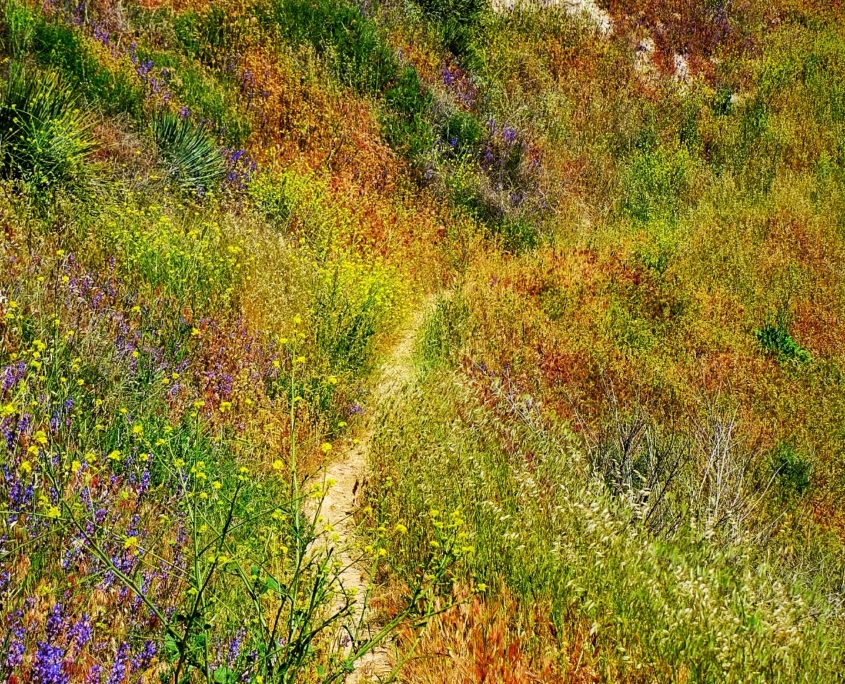 2023 0427 2224050034 01